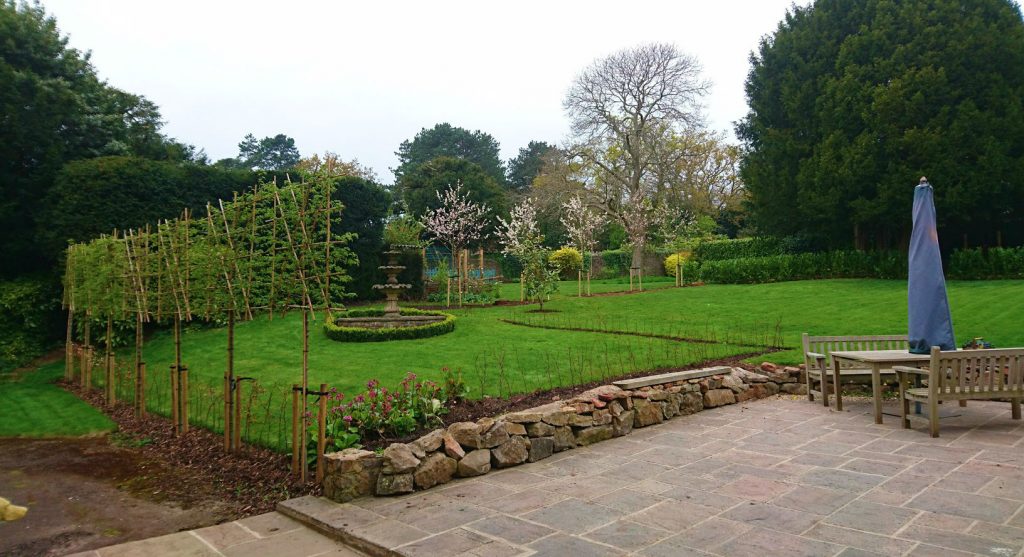 Pleached and beech